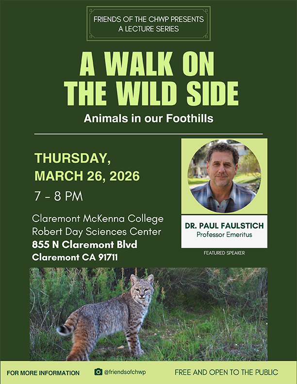 Flyer for the lecture.